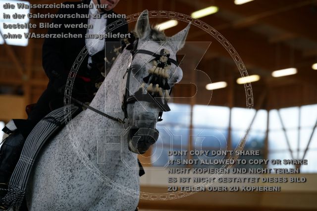 s_K3F02886.JPG